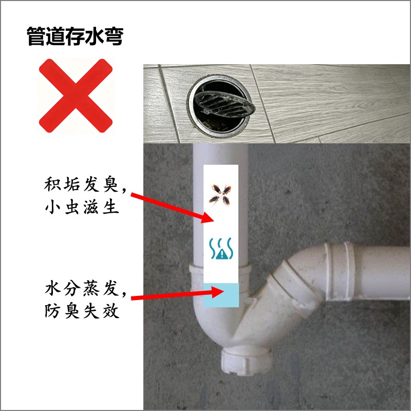 管道存水弯积垢发臭小虫滋生，水分蒸发防臭失效